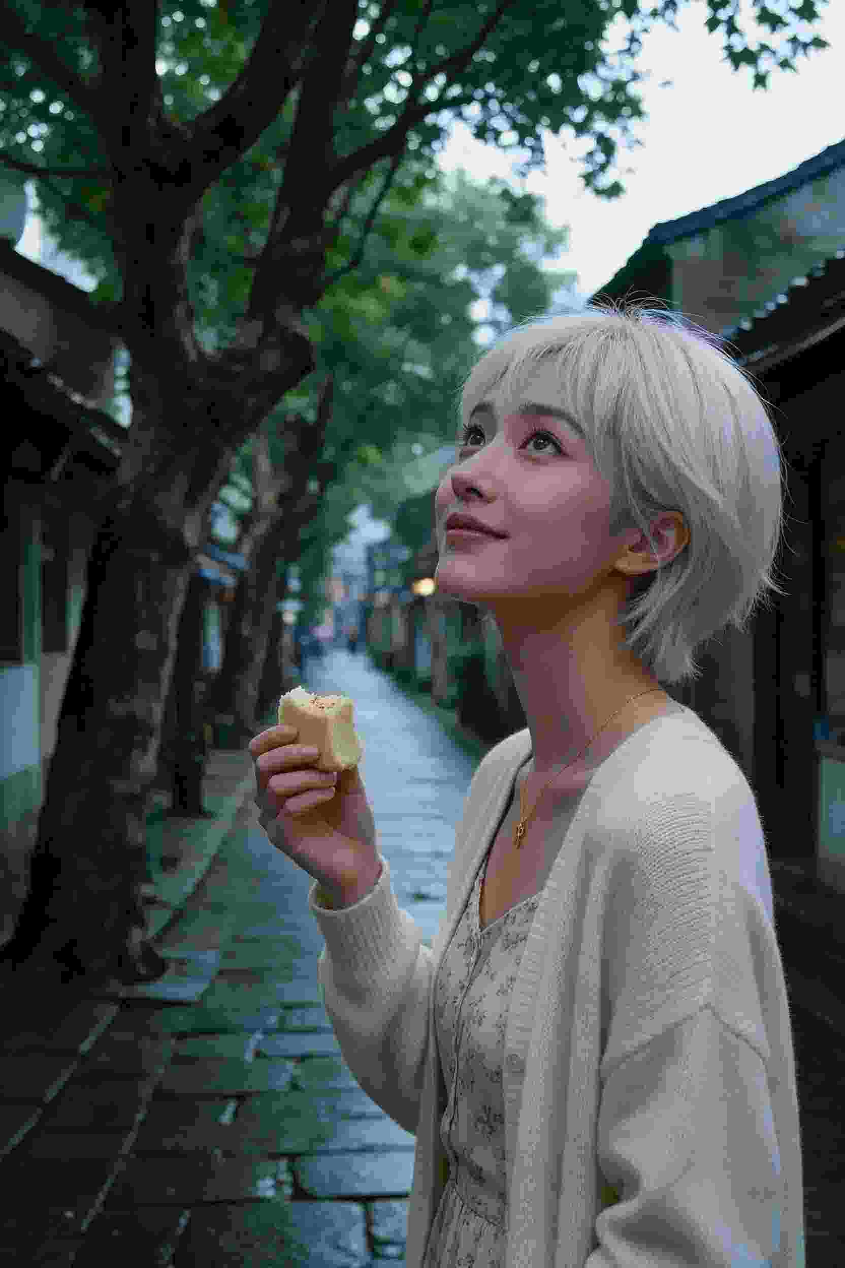 动漫作品2